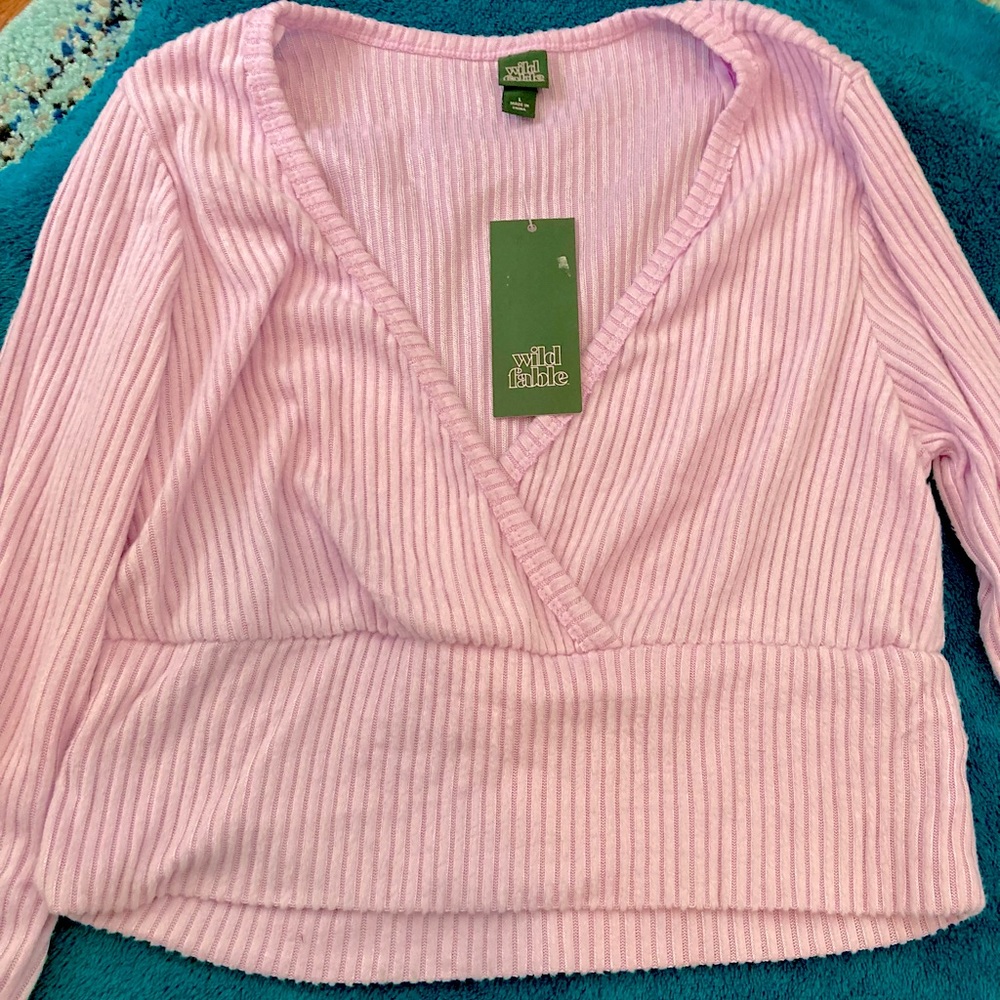Wild Fable Purple Crop Top NWT
